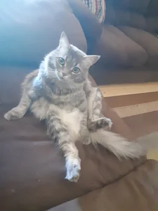 VanceFontaineのMyself and my catの 5枚の写真