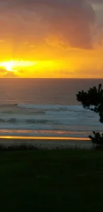 faithfulchic Flowers Pic 8