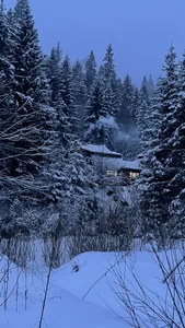 your_new_boyfriend1 Public Hình 4