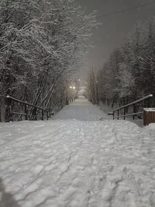 EvaThopson visiting a snowy forest Pic 4