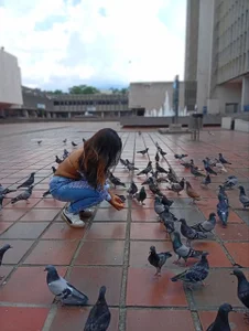 HaileeRoberts Pigeon attack 🕊️ صورة واحدة|HaileeRoberts Pigeon attack 🕊️ صورتان|HaileeRoberts Pigeon attack 🕊️  2 صور|HaileeRoberts Pigeon attack 🕊️  2 صورة