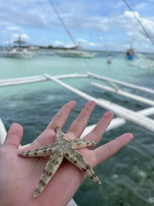 obsessionqueen boracay🎀 사진 2