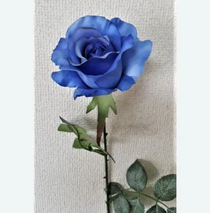 osu-nari_kun Public 사진 2