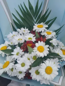 mona_cloud Life is a flower and love is the nectar 😍 Bilde 4