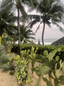 AnitaOwens Vietnam 圖片 8