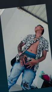 me de Scook_Gray_  4 Imagens