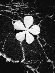 SWEETCLITYxxx Public Pic 4