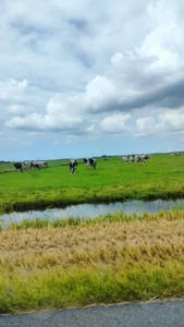 LovelyHelena Holidays in the Netherlands Εικόνα 2