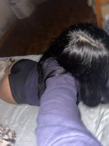 Primixxx Public Bilde