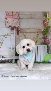 Scarlett-Dream My Best Friend Pic 6