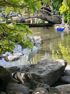 Candy_Sweetie_Have you ever been to Nha Trang?图片 3