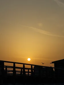 AlexFH life is beautiful slika