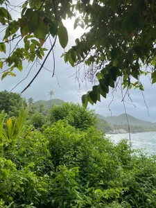 Cassandra_Caiin Vacations 🦀🌴🌊 Hình 2