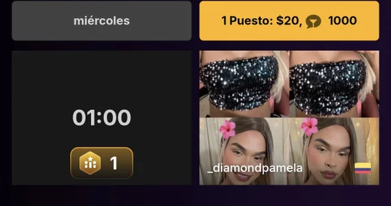 _diamondpamela Top slika 2