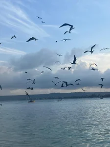 Lezy_: My vacations ( 3 фото)