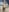 Curious-Goddess's photo