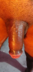 Caterosee Public صورة واحدة|Caterosee Public صورتان|Caterosee Public  8 صور|Caterosee Public  8 صورة