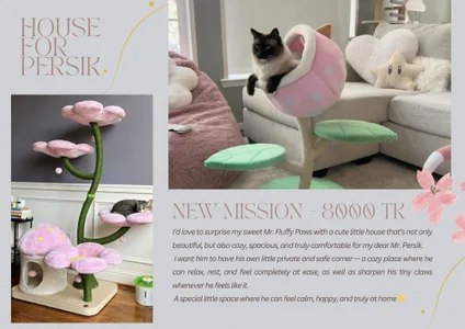 Gifts for Persik! de Mira_Fyre  2 Imagens