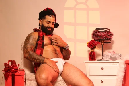 Lyon_vach: Christmas leon ( 2 фото)