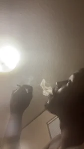 TricedZest Public Immagine 