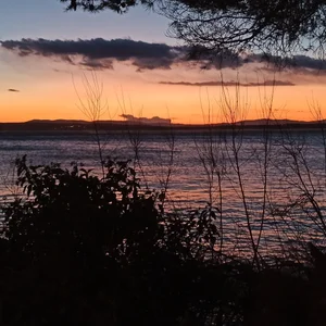 tipko123 Trip Immagine  2