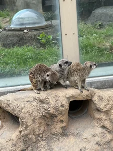 honopisu_jp 🦁 Hình 2