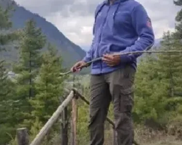 PIG_FUCKER_DADDYPublic图片 2