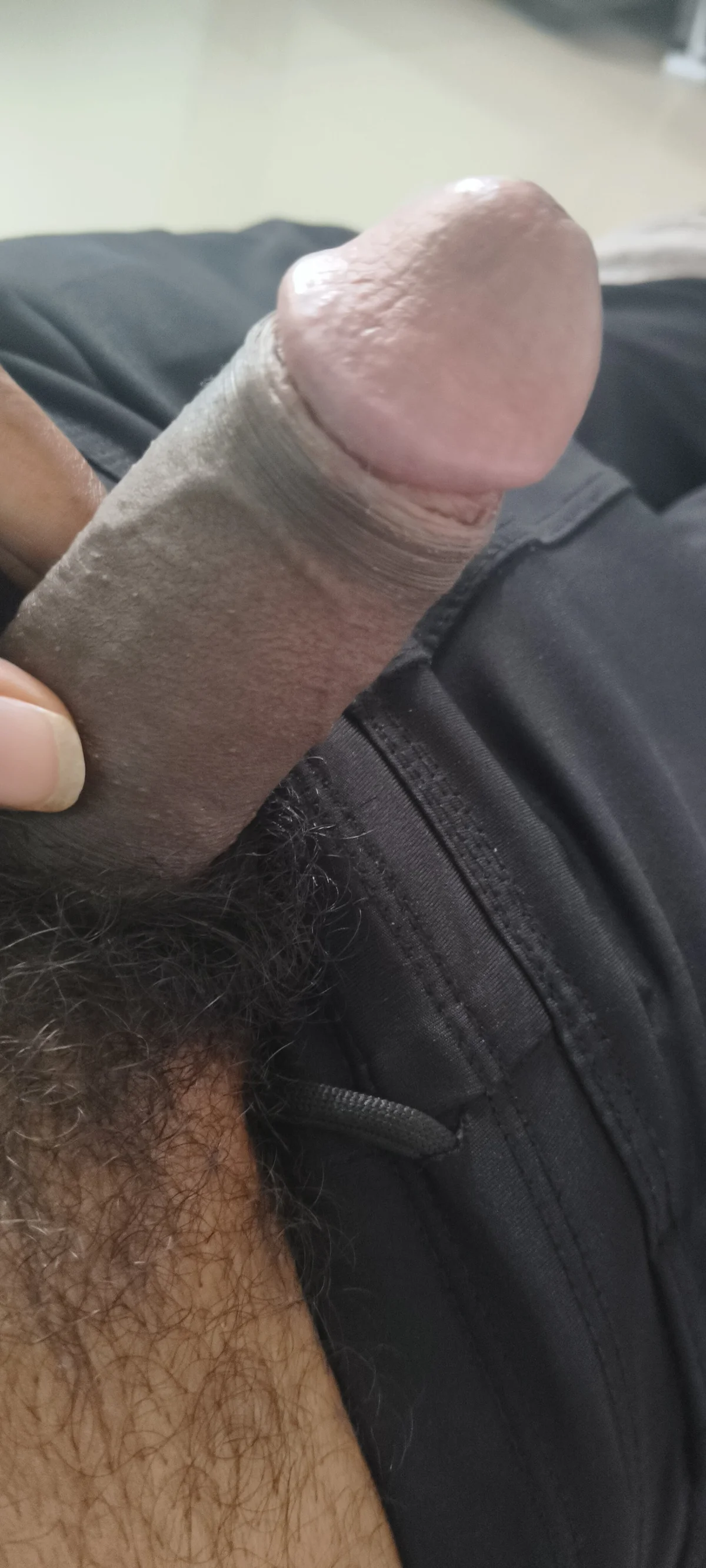 PeskyLoyalty9  606. kiemelt képe