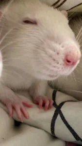 EmilyEvanse 😊😊😊 Pic 3