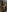 ElinaLur's photo