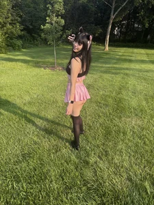 katt182Public Bild 3