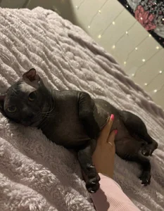 selina_coy my cats🐾😇💗 Foto 6