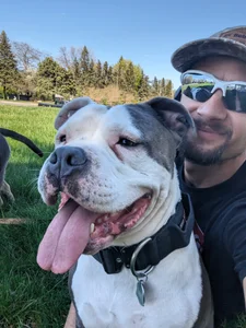 Flokes Public Kuva 4