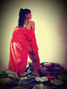 ZayaNova Public รูป  2