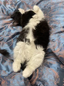 Melissa_Law_ Public Foto 2