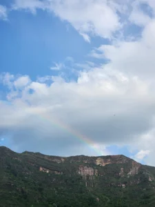 Alice_Barry A magical weekend 🌿🌻 사진 5