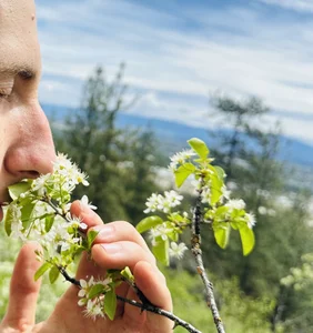 joshuatree4026 Public slika 4