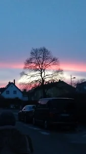 Die-geile-Sau 0 사진 5