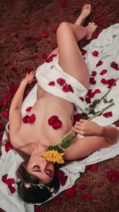 ms_afrodita_のforests of dreamsの枚の写真