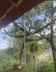 Isabella_SparxS Public Pic 3