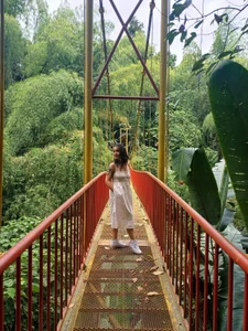 Butterfly Garden de NathySweet  7 photos