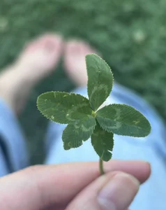 hana-cpのPublicの 5枚の写真