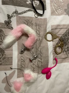 Porcland666Publica图片