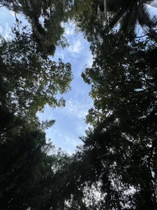 Tayson_Rivers kullanıcısının Beautiful nature albümü -  8 fotoğraf