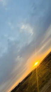 DICK5016: Yeah nerh ( 2 фото)