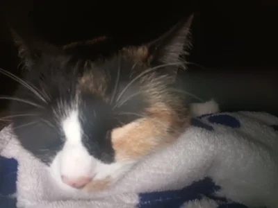 charlloteevans_X Michis  8টি ছবি