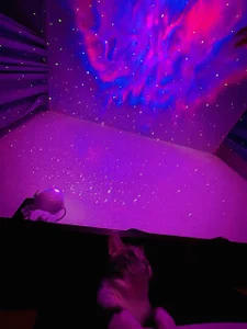 pandalorian Public รูป 