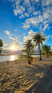 Kurohyooo Island mood Poză 4