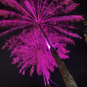 Kobayashiyan_Kun_uWux kullanıcısının Public albümü -  5 fotoğraf