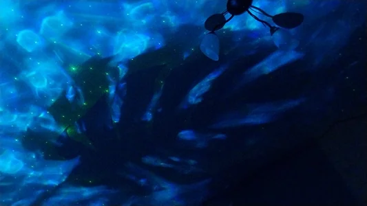 Zdjęcia RocKStone_ tea love<3:  3